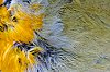 _MG_6379.jpg