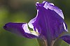 _MG_6427.jpg