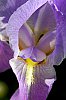 _MG_6430.jpg