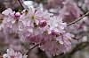 _MG_6470_DxO.jpg