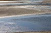 _MG_6483.jpg
