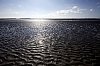 _MG_6487.jpg