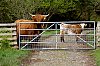 _MG_6506.jpg