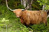 _MG_6509.jpg
