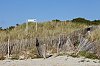 _MG_6512.jpg