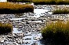 _MG_6514.jpg