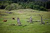 _MG_6531.jpg