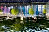 _MG_6564.jpg