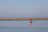 _MG_6565.jpg