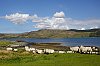 _MG_6566.jpg