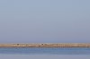 _MG_6575.jpg