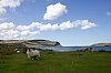 _MG_6593.jpg