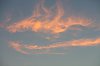 _MG_6607.jpg