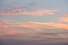 _MG_6608.jpg