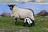 _MG_6610.jpg