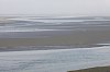 _MG_6625.jpg