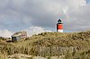 _MG_6675_28129.jpg