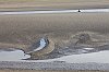 _MG_6680.jpg