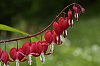 _MG_6703_DxO.jpg