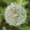 _MG_6705_DxO.jpg
