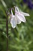 _MG_6716_DxO.jpg