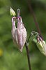 _MG_6717_DxO.jpg