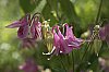 _MG_6719_DxO.jpg