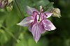 _MG_6720_DxO.jpg