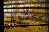 _MG_6819.jpg