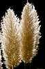 _MG_6835_28129.jpg
