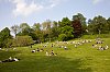 _MG_7091.jpg