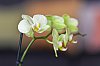 _MG_7177_DxO.jpg