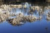 _MG_7384_DxO.jpg