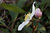 _MG_7399_DxO.jpg