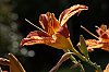 _MG_7419_DxO.jpg