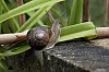 _MG_7448_DxO.jpg