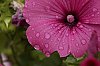 _MG_7463_DxO.jpg