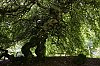 _MG_7494_DxO.jpg