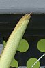 _MG_7519_1_DxO.jpg