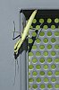 _MG_7519_DxO.jpg