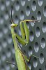 _MG_7600_DxO.jpg