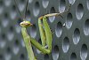 _MG_7605_DxO.jpg