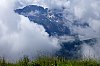 _MG_7731.jpg
