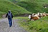 _MG_7734.jpg