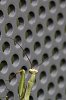 _MG_7757_DxO.jpg
