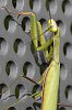 _MG_7759_DxO.jpg