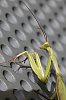 _MG_7762_DxO.jpg