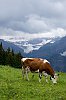 _MG_7776.jpg