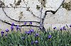 _MG_7781_DxO.jpg