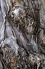 _MG_7783_DxO.jpg